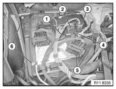 G11165256