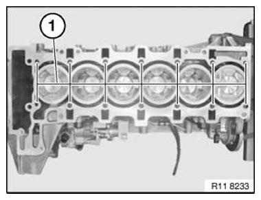 G11165336