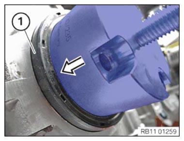G11165395