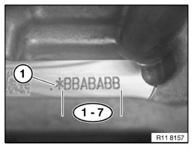 G11165455