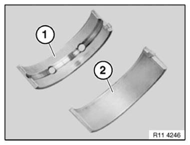 G11165458