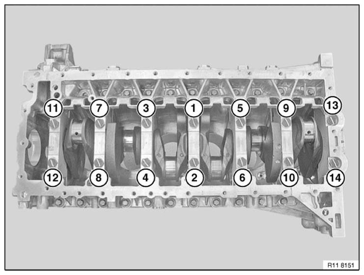 G11165505