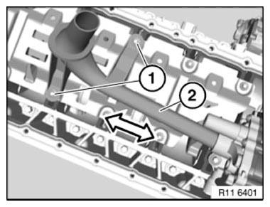 G11165565
