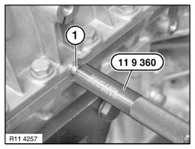 G11165604