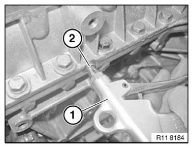 G11165605