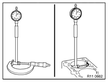 G11165669