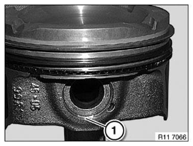 G11165673
