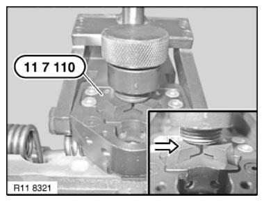 G11165955