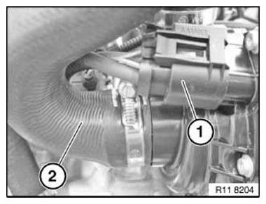 G11166098