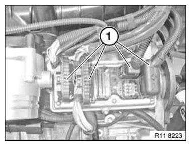G11166119