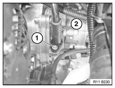 G11166125