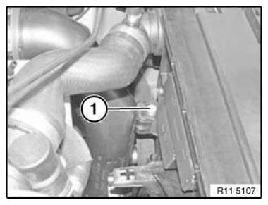 G11166131