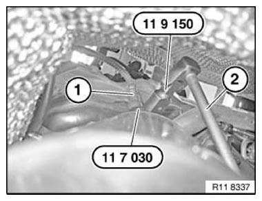 G11166244