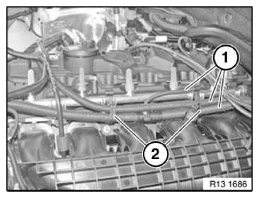G11166449