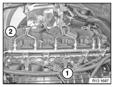 G11166455