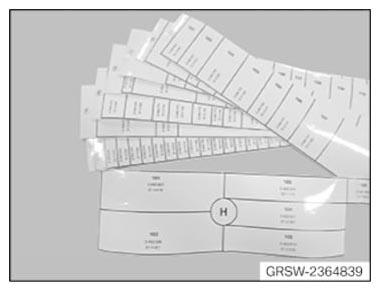 G11168476