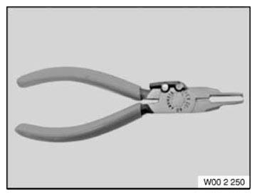 G11168582