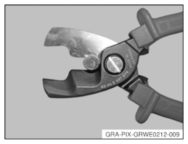G11168652