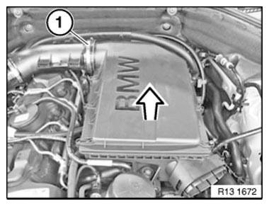 G11176976