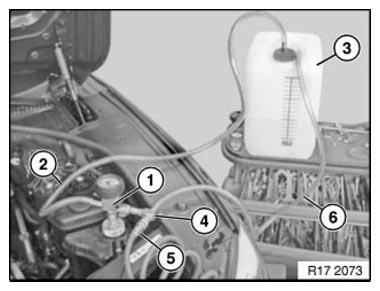 G11177068