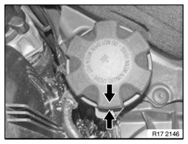 G11177080