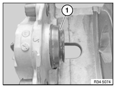 G11177844