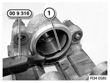 G11177850