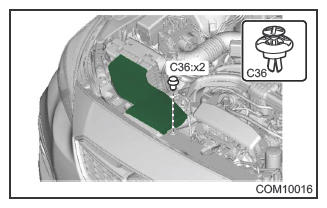 G11245816