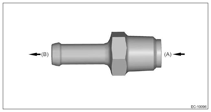G11253079