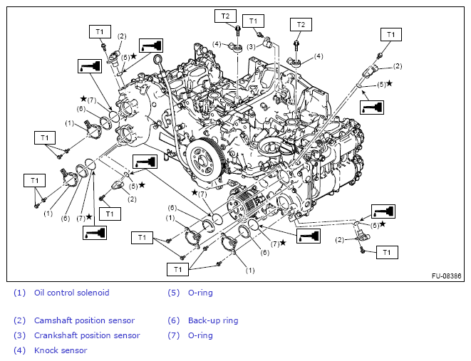 G11264833