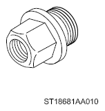 G11265334