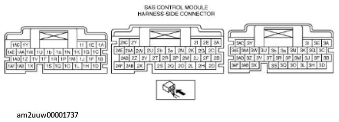 G11276686