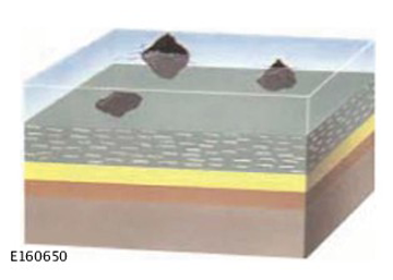 G11283578