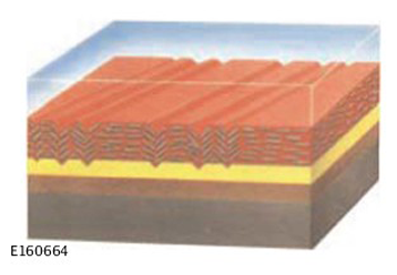 G11283592