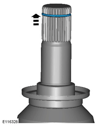 G11284281