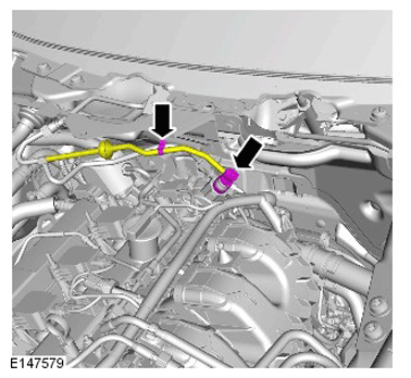 G11284535