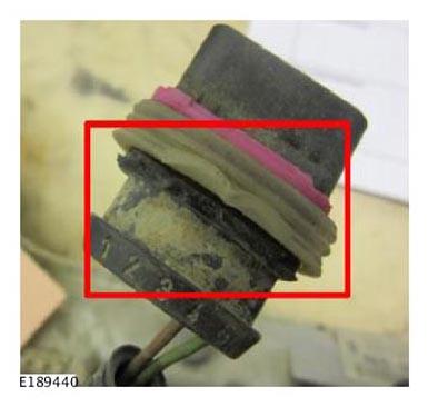 G11284619