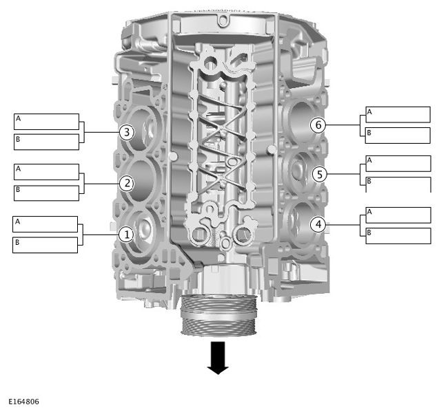 G11284780