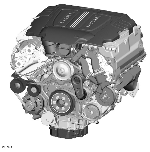 G11284781