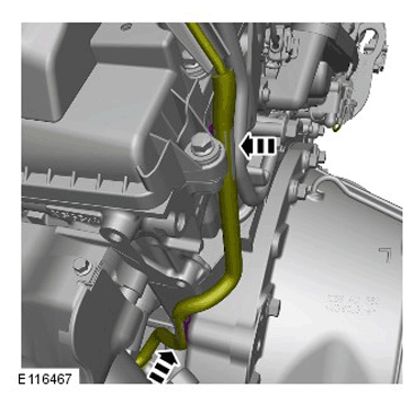 G11284984