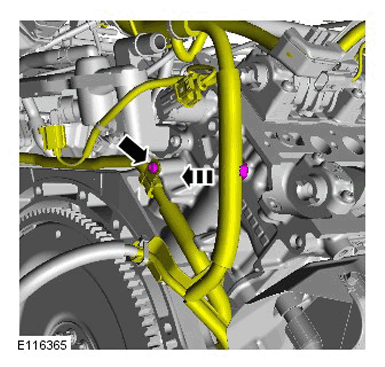 G11284987