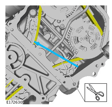 G11285449