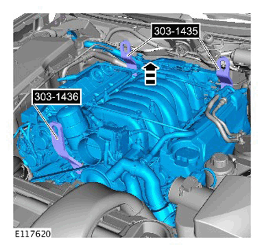 G11285546