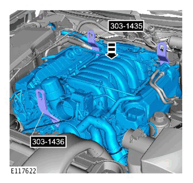 G11285549