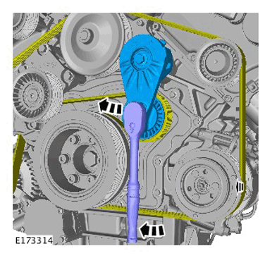 G11286498