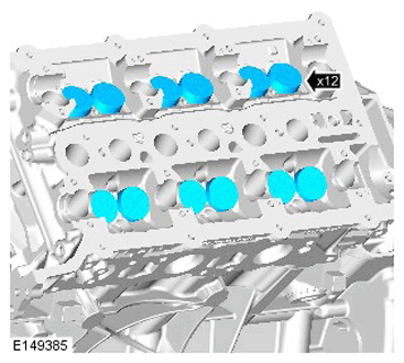 G11286560