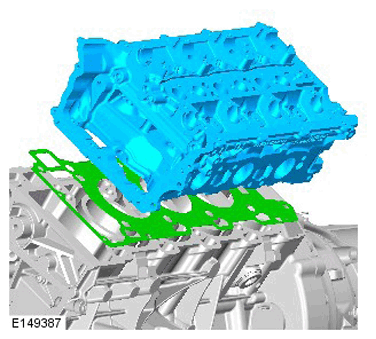 G11286562
