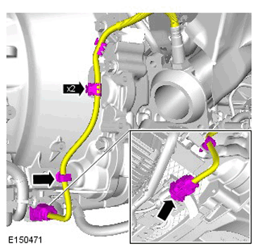 G11286674