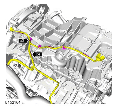 G11286715