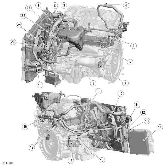 G11287746